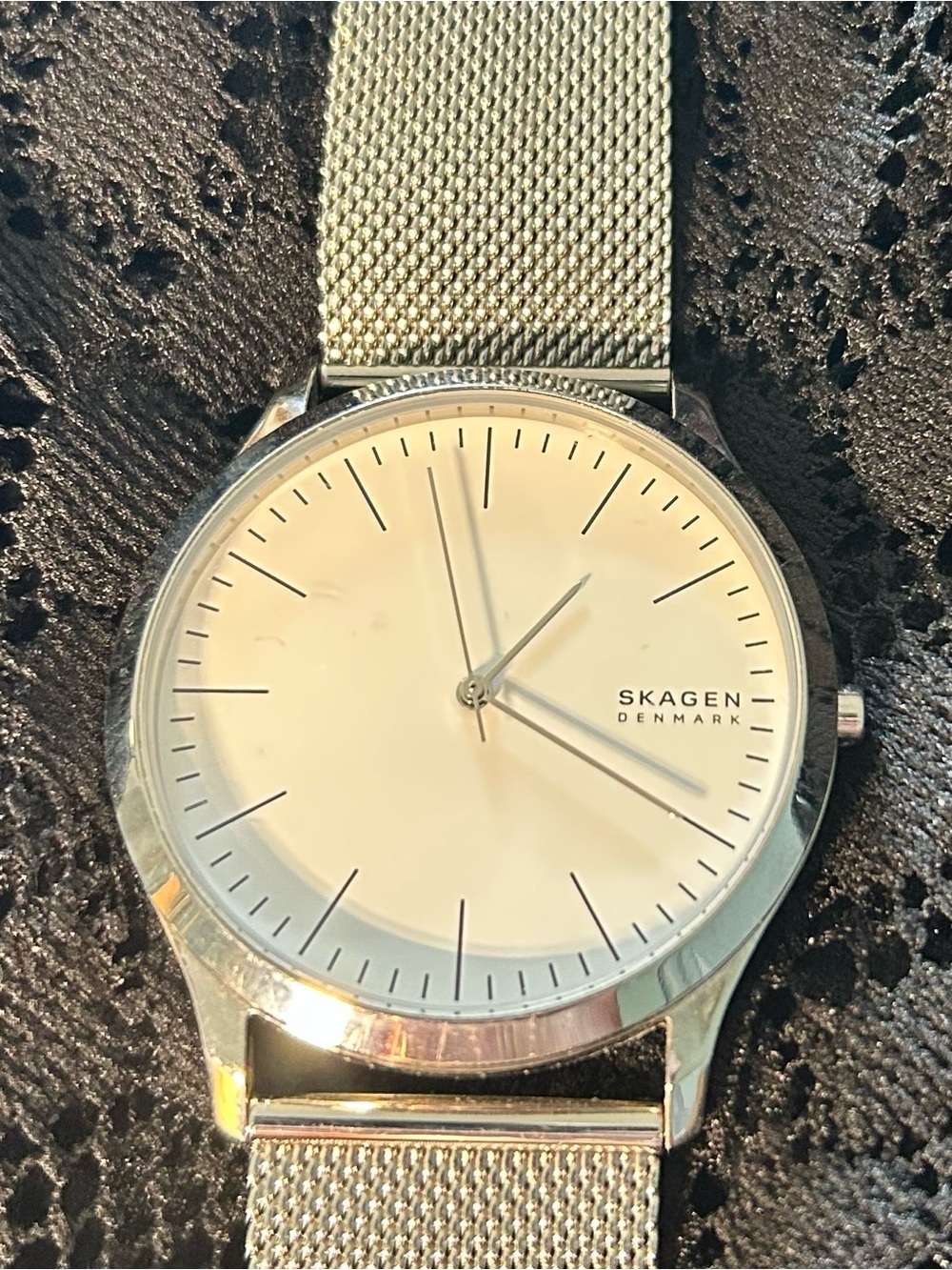 Skagen Denmark Men's Silver Mesh Band Watch - Silver Dial